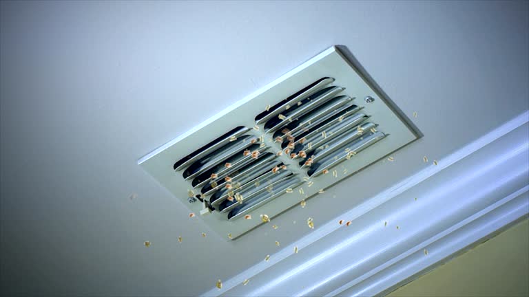 Best Air Duct Cleaning Near Me  in Mount Pleasant, UT