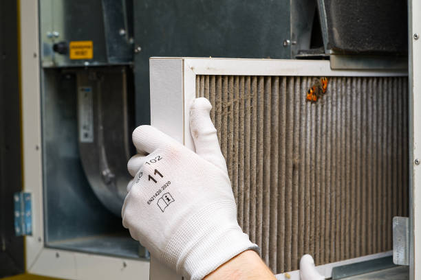 Best Affordable Air Duct Cleaning  in Mount Pleasant, UT